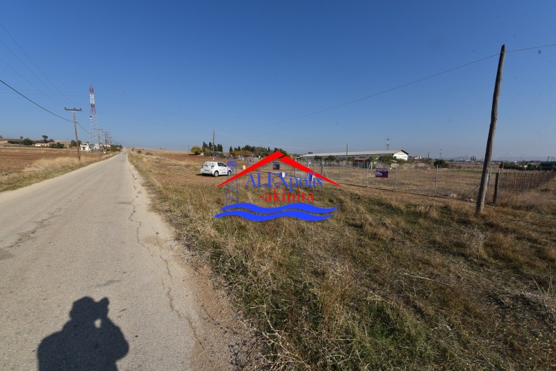 Αγροτεμάχια 1.546 τ.μ. πρός πώληση, Εβρος, Αλεξανδρούπολη