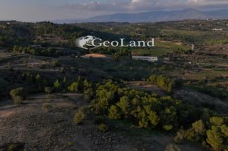 Αγροτεμάχια 21.274 τ.μ. πρός πώληση, Αργολίδα, Κρανίδι-thumb-24