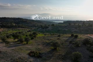 Αγροτεμάχια 21.274 τ.μ. πρός πώληση, Αργολίδα, Κρανίδι-thumb-11