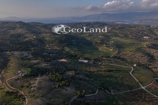 Αγροτεμάχια 21.274 τ.μ. πρός πώληση, Αργολίδα, Κρανίδι-thumb-13