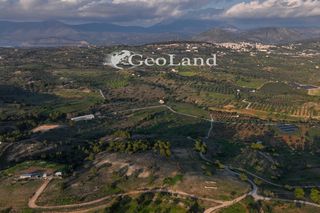 Αγροτεμάχια 21.274 τ.μ. για πώληση
