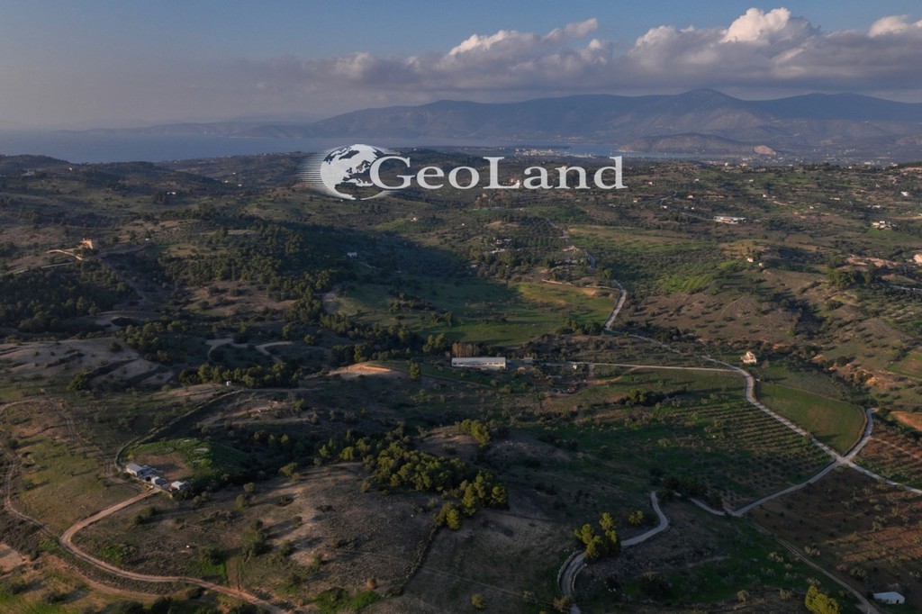 Αγροτεμάχια 21.274 τ.μ. πρός πώληση, Αργολίδα, Κρανίδι