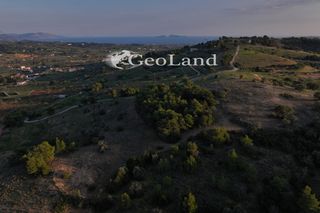 Αγροτεμάχια 21.274 τ.μ. πρός πώληση, Αργολίδα, Κρανίδι-thumb-6