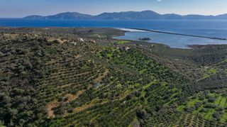 Αγροτεμάχια 4.240 τ.μ. προς πώληση, Θερμησία-thumb-6