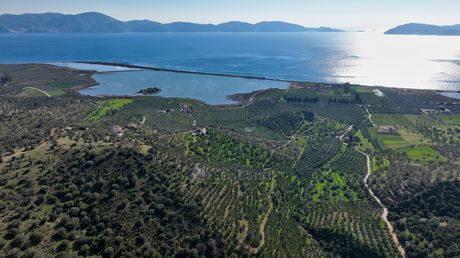 Parcel 4.240sqm for sale-Ermioni » Thermisia