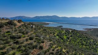 Αγροτεμάχια 4.240 τ.μ. προς πώληση, Θερμησία-thumb-24