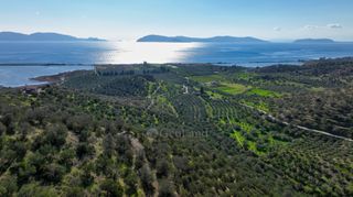 Αγροτεμάχια 4.240 τ.μ. προς πώληση, Θερμησία-thumb-22