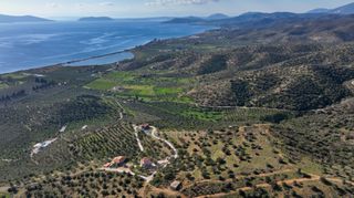 Αγροτεμάχια 4.240 τ.μ. προς πώληση, Θερμησία-thumb-18
