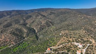 Αγροτεμάχια 4.240 τ.μ. προς πώληση, Θερμησία-thumb-15