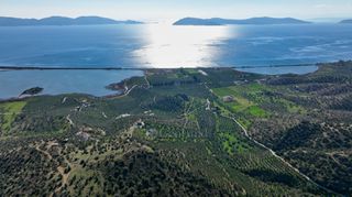 Αγροτεμάχια 4.240 τ.μ. προς πώληση, Θερμησία-thumb-11