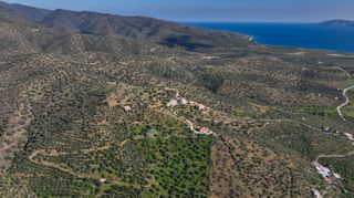 Αγροτεμάχια 4.240 τ.μ. προς πώληση, Θερμησία-thumb-7
