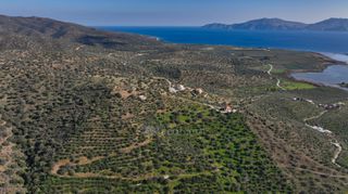 Αγροτεμάχια 4.240 τ.μ. προς πώληση, Θερμησία-thumb-14