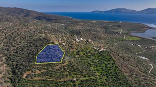 Αγροτεμάχια 4.240 τ.μ. προς πώληση, Θερμησία-thumb-1