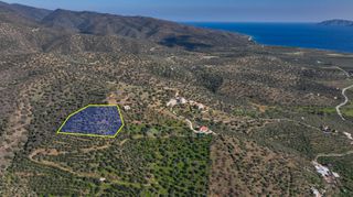 Αγροτεμάχια 4.240 τ.μ. προς πώληση, Θερμησία-thumb-3