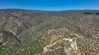 Αγροτεμάχια 4.240 τ.μ. προς πώληση, Θερμησία-thumb-12