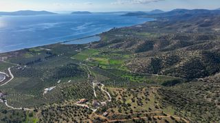 Αγροτεμάχια 4.240 τ.μ. προς πώληση, Θερμησία-thumb-5