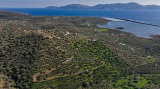 Αγροτεμάχια 4.240 τ.μ. προς πώληση, Θερμησία-thumb-10