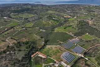 Αγροτεμάχια 5.560 τ.μ. για πώληση, Αργολίδα, Κρανίδι-thumb-16