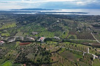 Αγροτεμάχια 5.560 τ.μ. για πώληση, Αργολίδα, Κρανίδι-thumb-13