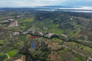 Αγροτεμάχια 5.560 τ.μ. για πώληση, Αργολίδα, Κρανίδι-thumb-2