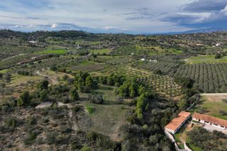 Αγροτεμάχια 5.560 τ.μ. για πώληση, Αργολίδα, Κρανίδι-thumb-8