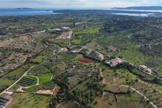 Αγροτεμάχια 5.560 τ.μ. για πώληση, Αργολίδα, Κρανίδι-thumb-12