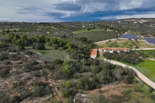 Αγροτεμάχια 5.560 τ.μ. για πώληση, Αργολίδα, Κρανίδι-thumb-19