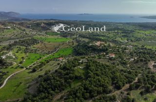 Αγροτεμάχια 10.571 τ.μ. προς πώληση, Κέντρο Κρανιδίου-thumb-21