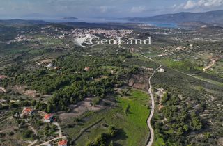 Αγροτεμάχια 10.571 τ.μ. προς πώληση, Κέντρο Κρανιδίου-thumb-3