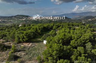 Αγροτεμάχια 10.571 τ.μ. προς πώληση, Κέντρο Κρανιδίου-thumb-9