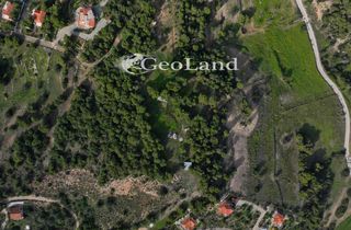 Αγροτεμάχια 10.571 τ.μ. προς πώληση, Κέντρο Κρανιδίου-thumb-1