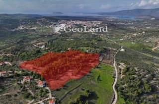 Αγροτεμάχια 10.571 τ.μ. προς πώληση, Κέντρο Κρανιδίου-thumb-2