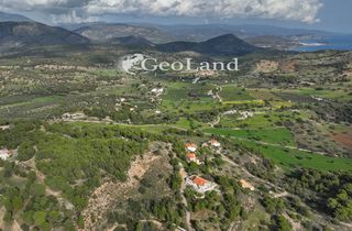 Αγροτεμάχια 10.571 τ.μ. προς πώληση, Κέντρο Κρανιδίου-thumb-16