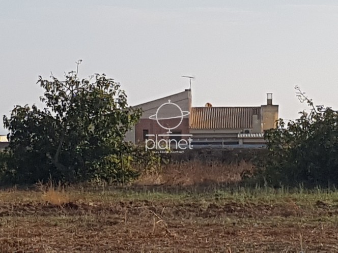 Αγροτεμάχια 5.800 τ.μ. προς πώληση, Κέντρο Επανομής