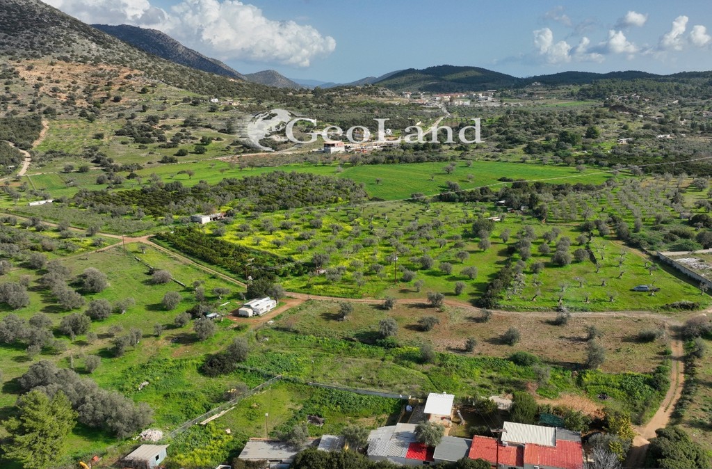 Αγροτεμάχια 2.200 τ.μ. προς πώληση, Κέντρο Κρανιδίου