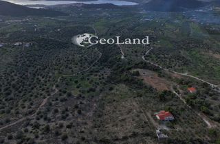 Αγροτεμάχια 10.000 τ.μ. για πώληση, Αργολίδα, Ερμιόνη-thumb-23