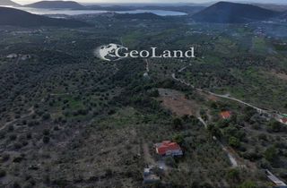Αγροτεμάχια 10.000 τ.μ. για πώληση, Αργολίδα, Ερμιόνη-thumb-3