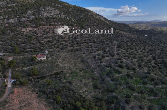 Αγροτεμάχια 10.000 τ.μ. για πώληση, Αργολίδα, Ερμιόνη