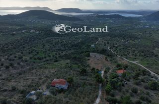 Αγροτεμάχια 10.000 τ.μ. για πώληση, Αργολίδα, Ερμιόνη-thumb-20