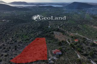 Αγροτεμάχια 10.000 τ.μ. για πώληση, Αργολίδα, Ερμιόνη-thumb-1