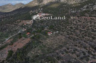 Αγροτεμάχια 10.000 τ.μ. για πώληση, Αργολίδα, Ερμιόνη-thumb-12