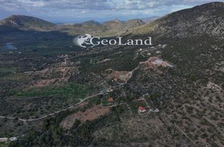 Αγροτεμάχια 10.000 τ.μ. για πώληση, Αργολίδα, Ερμιόνη-thumb-10