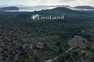 Αγροτεμάχια 10.000 τ.μ. για πώληση, Αργολίδα, Ερμιόνη-thumb-18