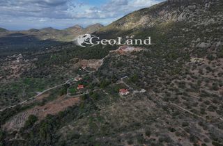 Αγροτεμάχια 10.000 τ.μ. για πώληση, Αργολίδα, Ερμιόνη-thumb-11