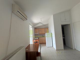Studio / γκαρσονιέρα 32 τ.μ. για ενοικίαση, Αχαΐα, Πάτρα-thumb-12