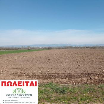 Αγροτεμάχια 6.500τ.μ. για πώληση-Γόμφοι » Μουριά