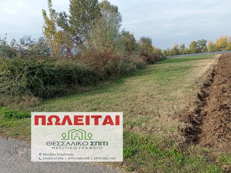 Αγροτεμάχια 2.800τ.μ. για πώληση-Γόμφοι » Πηγή