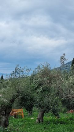 Οικόπεδο 2.220 τ.μ. για πώληση, Θεσπρωτία, Σύβοτα