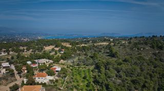 Οικόπεδο 4.067 τ.μ. για πώληση, Αργολίδα, Κρανίδι-thumb-4