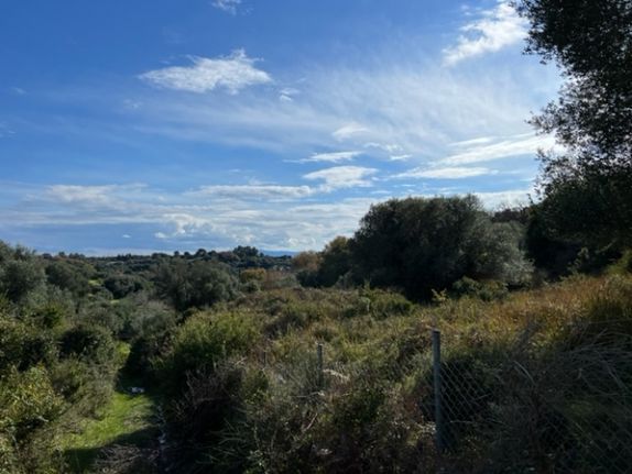 Parcel 5.530 sqm for sale, Kefallinia Prefecture, Kefalonia